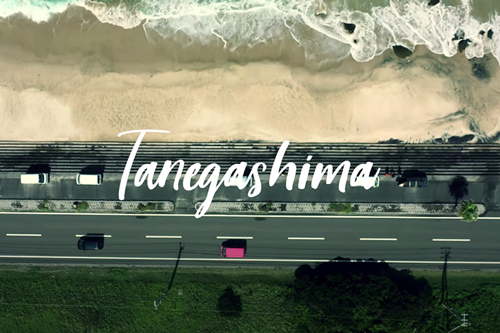 Tanegashima life