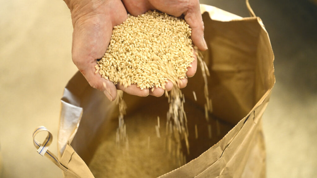 Watanabe Farm's Next-Generation Agriculture_04