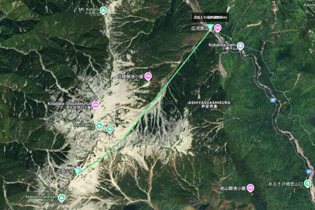 Transporting deer by drone_kitadake_01