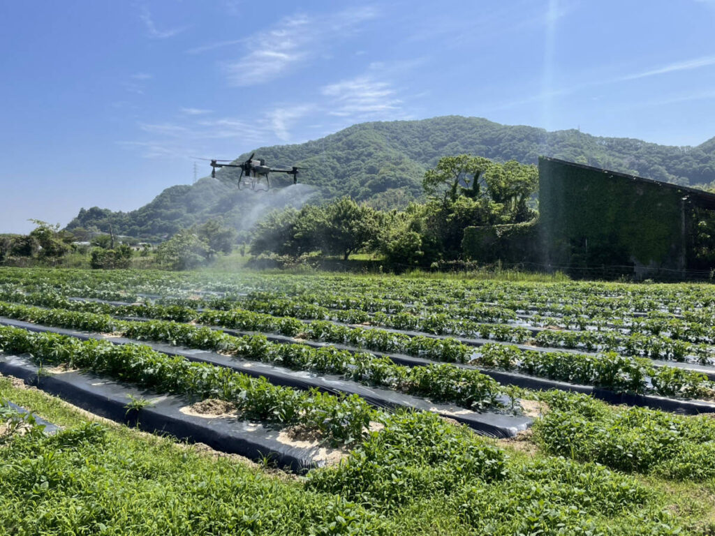 vegeta_agri_drone_case_vegeta_03