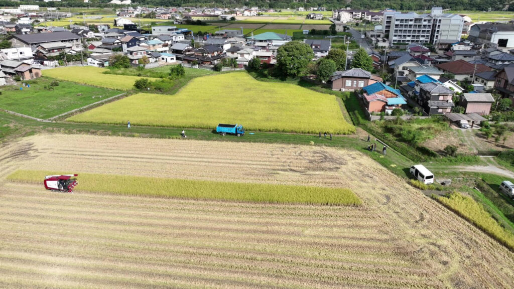 next-sky-farm_agriculture-drone_07